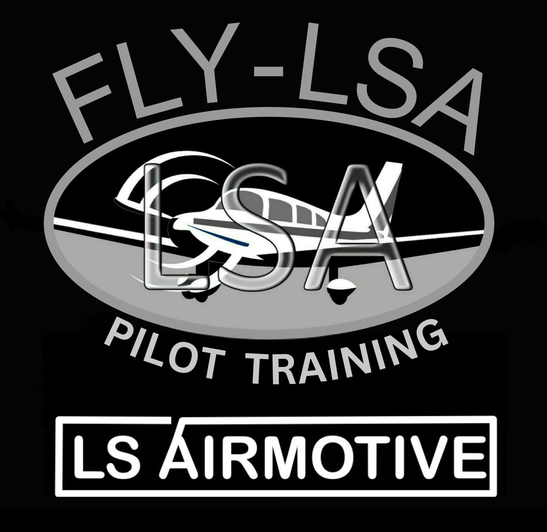 Fly LSA